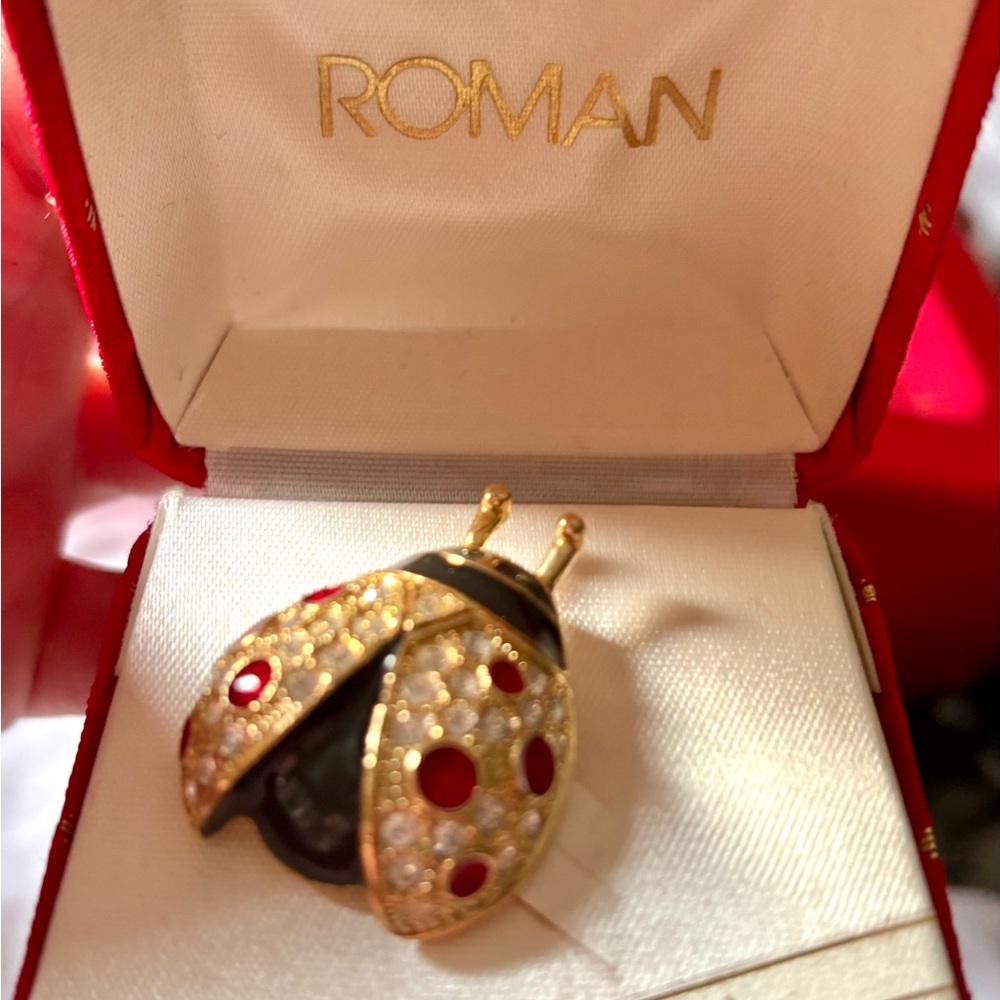 Roman Ladybug Brooch in box